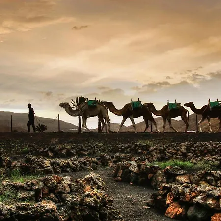 Вилла Home2book Luxury Playa Honda, Private Pool Плайя-Онда